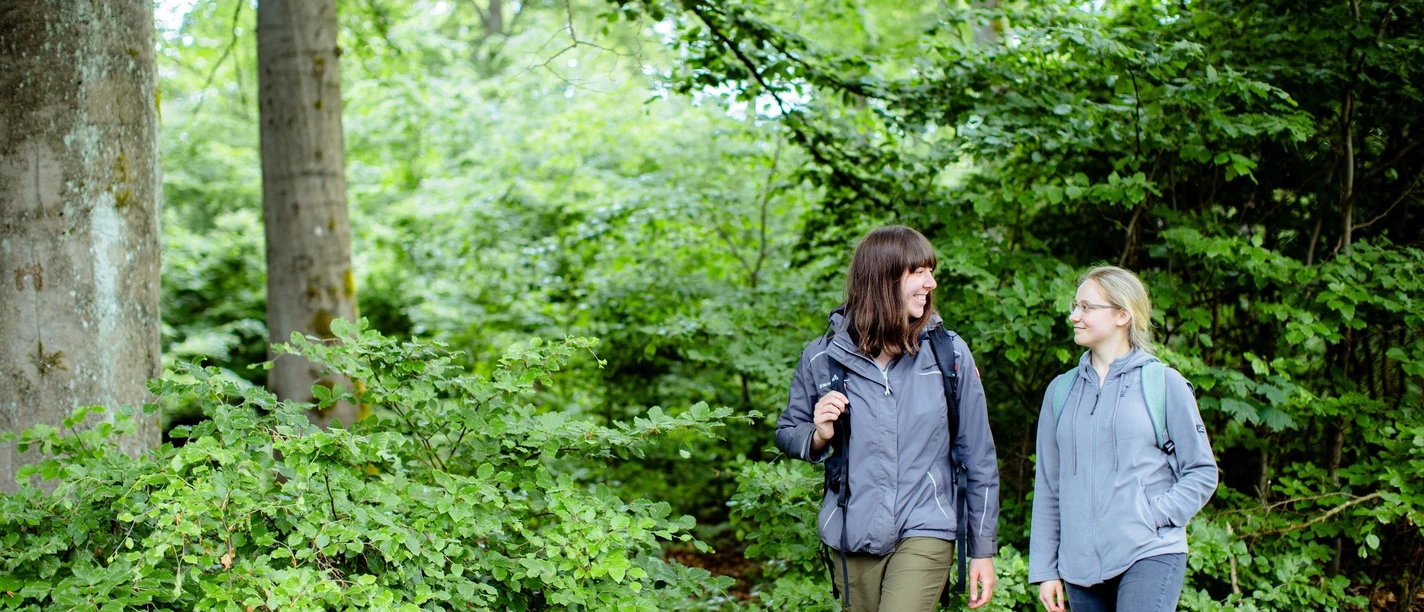 Wandern im Nationalpark Kellerwald-Edersee