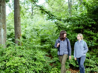 Wandern im Nationalpark Kellerwald-Edersee