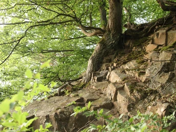 Fels Hagenstein-Route