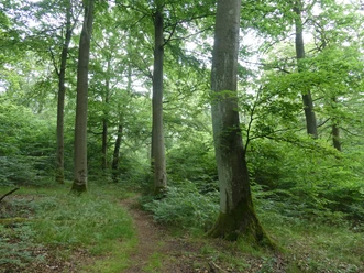 Quernstpfad