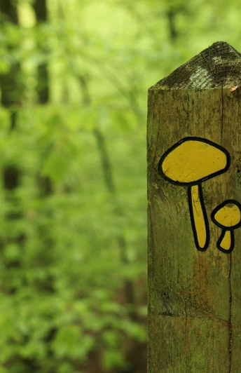 Ringelsbergroute Wegpfeiler