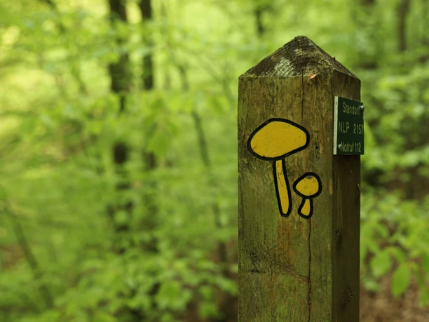 Ringelsbergroute Wegpfeiler