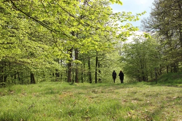 Ringelsberg-Route