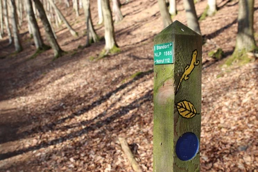 Heimbach Route