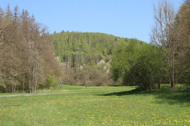 Quernst Talgang