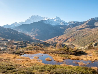 Aussicht Simplonpass