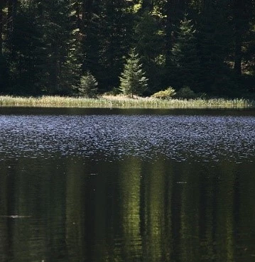 Buhlbachsee