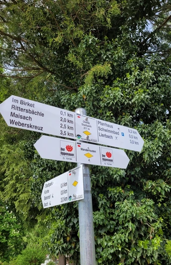 Schilderbaum am Weg "Der Oppenauer"