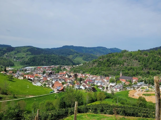 Blick auf Oppenau