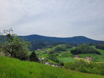 Toller Panoramablick