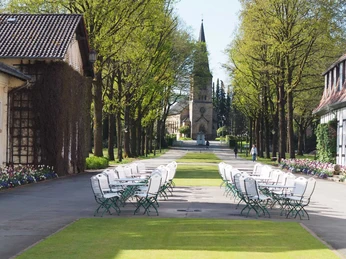 Blick durch die Allee auf die evangelische Kirche in Bad Driburg.