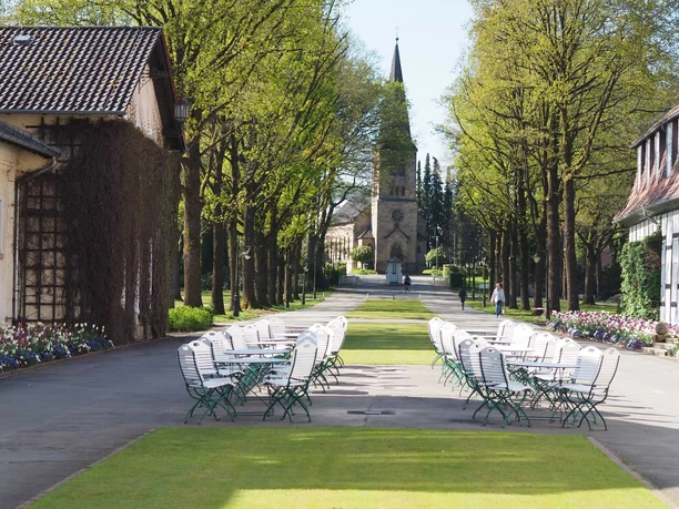 Blick durch die Allee auf die evangelische Kirche in Bad Driburg.