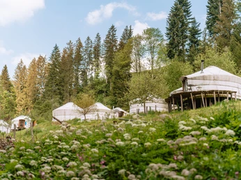 Kulinarik-Spezielle Lokalitaeten-Jurtendorf Luthern Bad-Willisau-Blog-Laila Bosco-WT-35.jpg