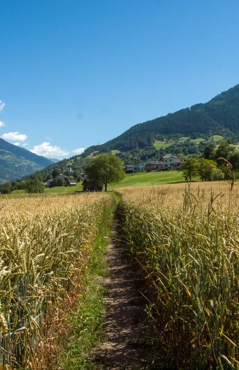 Achera Biela Naturlehrpfad