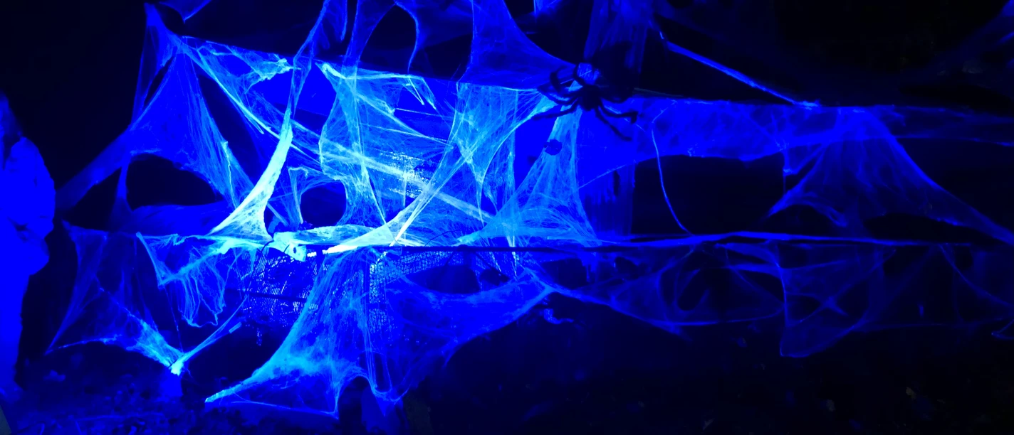 Halloween Im Zoo Stralsund