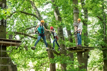 Family on climbing element