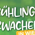 frühlingserwachen_wieda