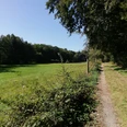 POI_0_allgemein-Gebiet.jpg Ein schmaler Feldweg schlängelt sich entlang einer Wiese, gesäumt von Bäumen unter strahlend blauem Himmel.