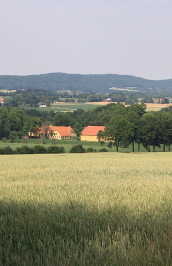 Weitläufige Landschaft mit Feldern und einer Baumallee, im Hintergrund ein Anwesen mit roten Dächern.