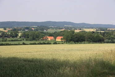 POI-0_blick1.jpg Weitläufige Landschaft mit Feldern und einer Baumallee, im Hintergrund ein Anwesen mit roten Dächern.