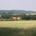 POI-0_blick1.jpg Weitläufige Landschaft mit Feldern und einer Baumallee, im Hintergrund ein Anwesen mit roten Dächern.