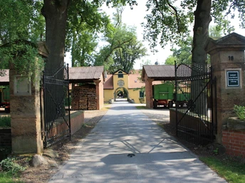 Hofeinfahrt mit großen alten Bäumen und Torbogen aus Stein, umgeben von gelben Gebäuden.