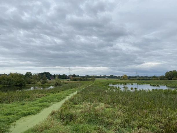 POI-2-Enger Bruch.JPG Weite Moorlandschaft mit grünen Wiesen und kleinen Wasserflächen unter bewölktem Himmel im Enger Bruch.