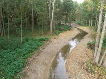 POI-1-b_Brandbach.JPG Ein schmaler, fast ausgetrockneter Bach schlängelt sich durch einen dichten Wald mit Laubbäumen.