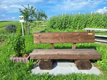 Kräuterbänkli Eibisch