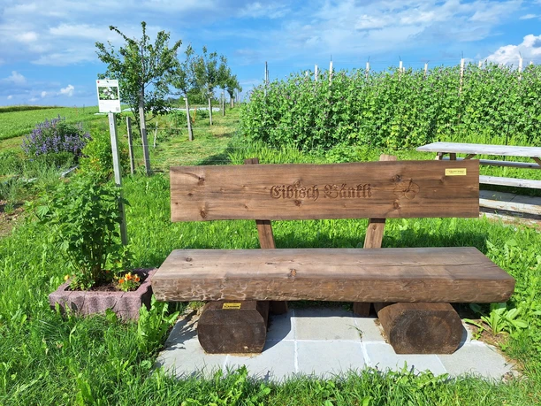 Kräuterbänkli Eibisch