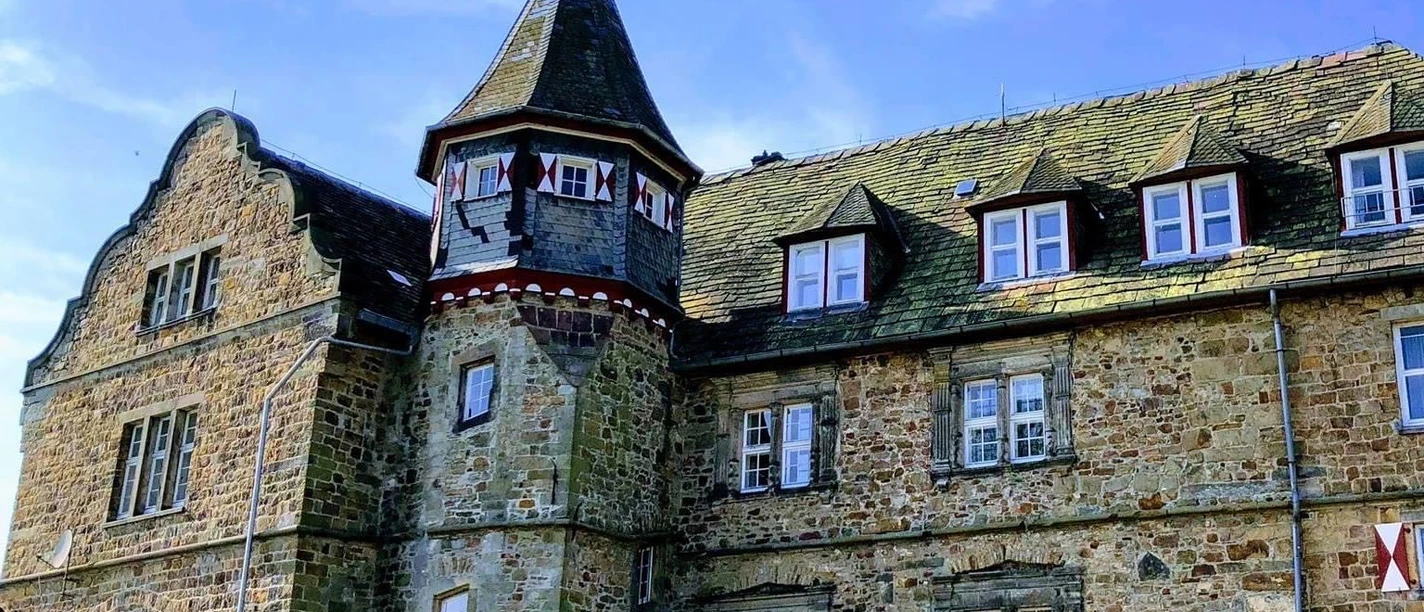 Historisches Steingebäude mit Turm und Dachgauben, umgeben von blühenden Pflanzen, unter blauem Himmel.