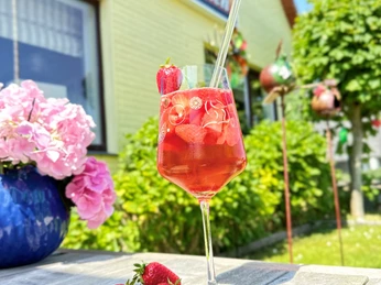 Sonniger Süden 1.jpg