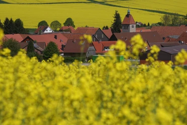 heckenbeck_raps(c) Stadt Bad Gandersheim.jpg