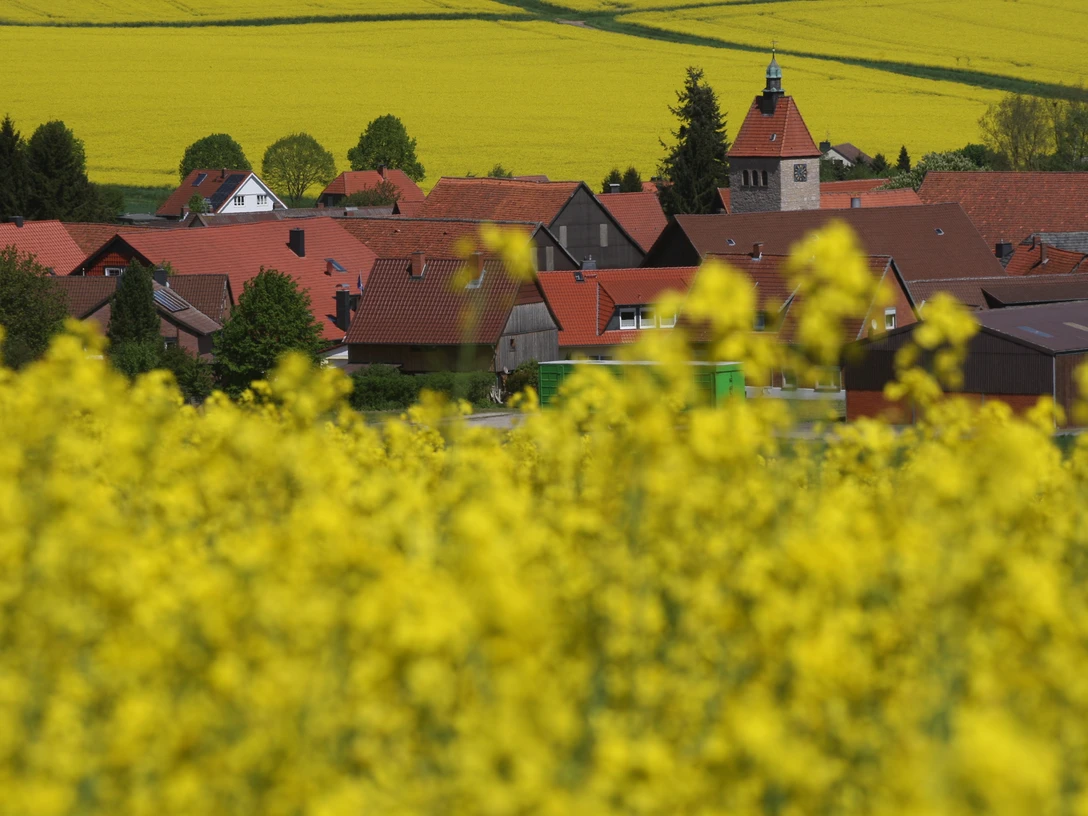 heckenbeck_raps(c) Stadt Bad Gandersheim.jpg