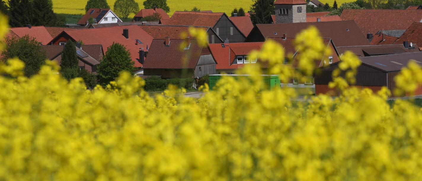 heckenbeck_raps(c) Stadt Bad Gandersheim.jpg