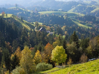 Aktivitaeten-Naturgebiete-Ahorn-Ahornalp-Willisau-Priska Ziswiler-EN-6.jpg Rundwanderung Ahornalp