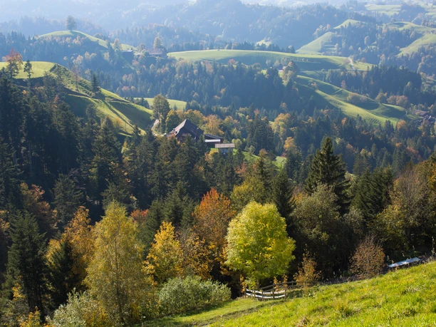 Aktivitaeten-Naturgebiete-Ahorn-Ahornalp-Willisau-Priska Ziswiler-EN-6.jpg Rundwanderung Ahornalp