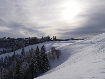 Ahornalp-Winterwanderung_CM (3).JPG Rundwanderung Ahornalp