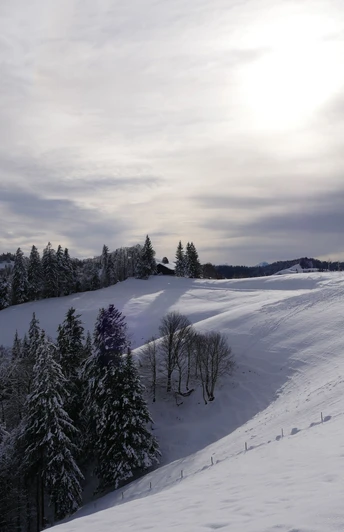 Ahornalp-Winterwanderung_CM (3).JPG Rundwanderung Ahornalp