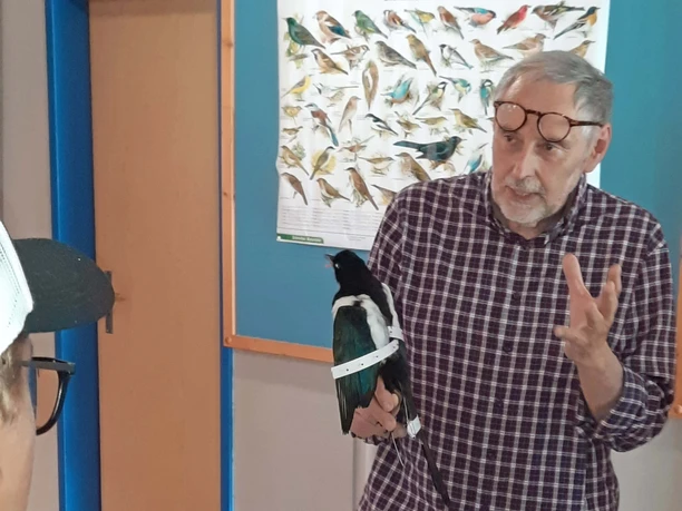 Aperçu de la préparation des oiseaux Un taxidermiste donne aux groupes un aperçu de l'art de la préparation des oiseaux