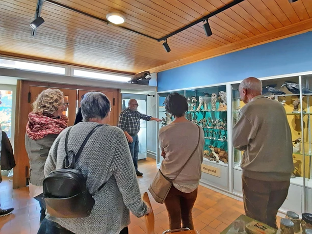 Guided tour of the Diemtigtal bird world exhibition Adults stand in a semi-circle in front of a glass display case and listen to the explanations