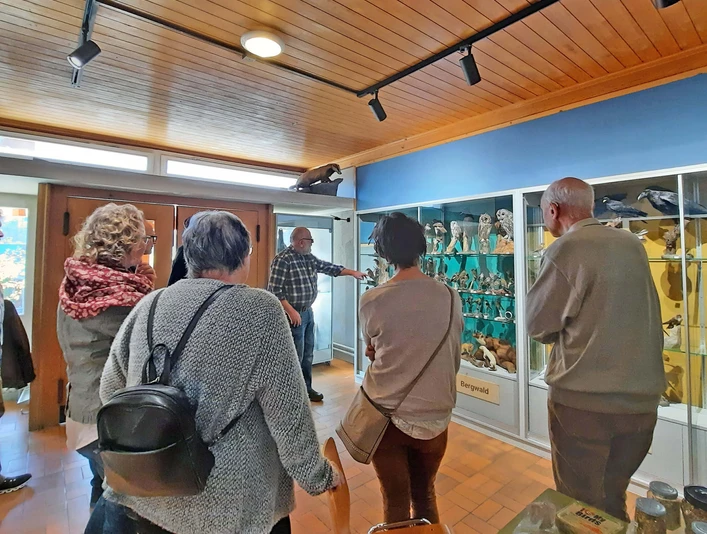 Visite guidée de l'exposition sur les oiseaux du Diemtigtal Erwachsene stehen im Halbkreis vor einer Glasvitrine und lauschen den AusführungenAdults stand in a semi-circle in front of a glass display case and listen to the explanationsDes adultes se tiennent en demi-cercle devant une vitrine en verre et écoutent les explications
