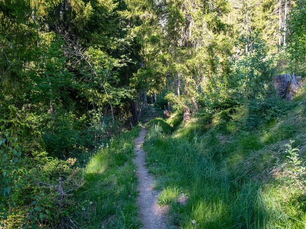 Vitaparcours Ried-Brig