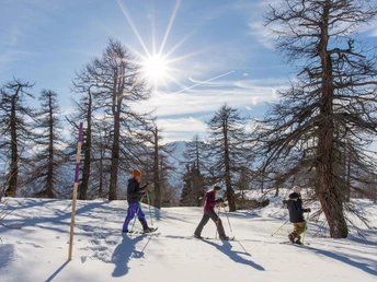 Unterwegs im Rothwald