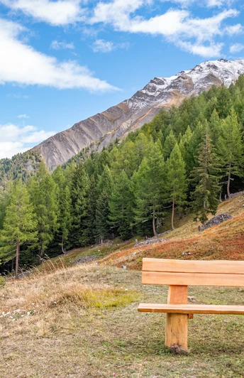 Neuer (2019) Sitzbank im Mattalpji