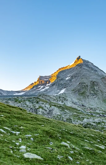 Blick Richtung Bortelsee