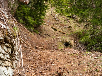 Wanderweg hoch zu Rigi