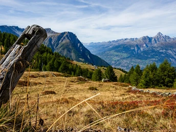 Aussicht bei der Wintrigmatte