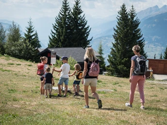 Steinadler Quiz Rosswald