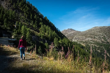 Alpenpässeweg mit Blick auf den Simplonpass